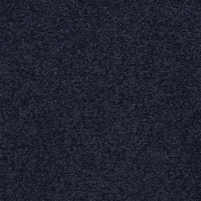 Masland Patriot Colonial 9588-667