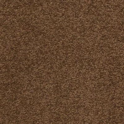 Masland Patriot Montego 9588-723