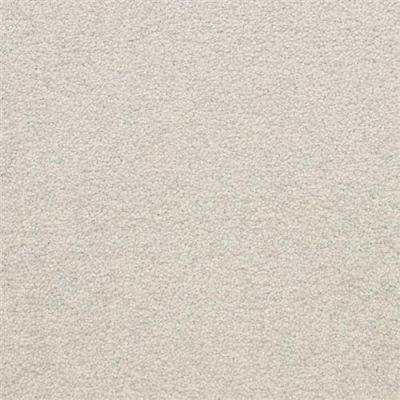Masland Patriot Techno 9588-846