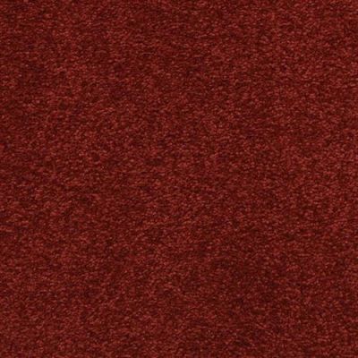Masland Patriot Vibrant 9588-945
