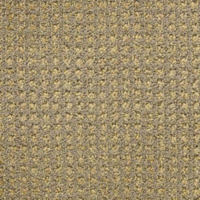 Masland Alpha Ionic 9599-335