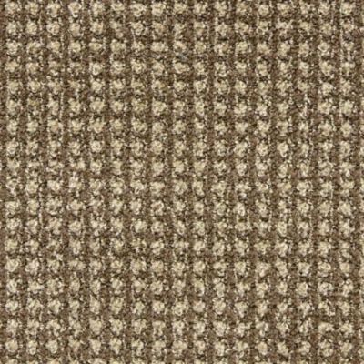 Masland Alpha Neuron 9599-734