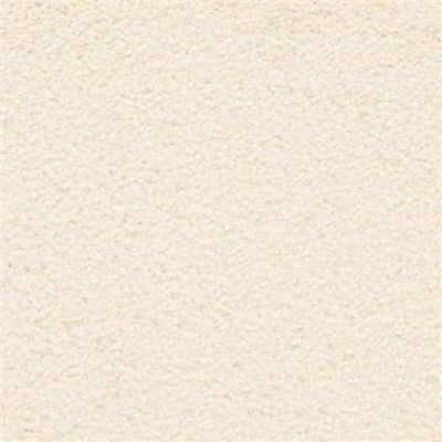 Masland Ravishing Dazzling 9625-006
