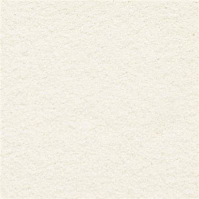 Masland Ravishing Tantalizing 9625-016