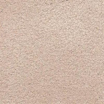 Masland Ravishing Chic 9625-223
