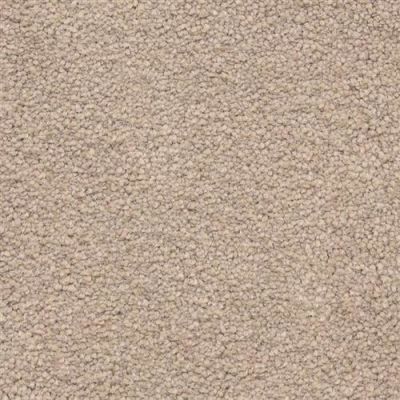 Masland Ravishing Rapturous 9625-224