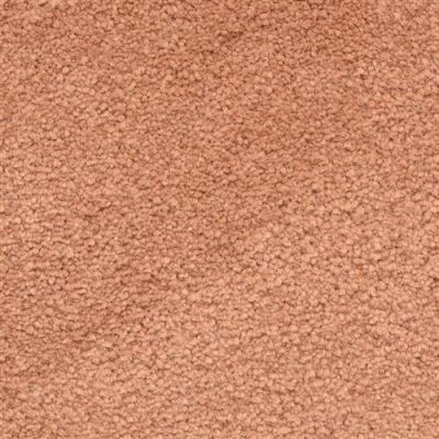 Masland Ravishing Eye-Catching 9625-948
