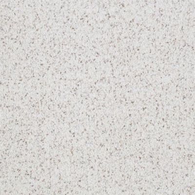 Masland Boca Raton Absolute 9650-047