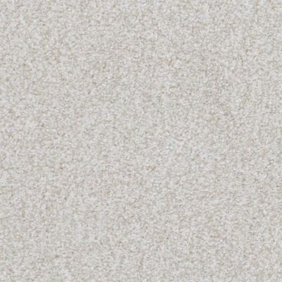Masland Boca Raton Lasting Taupe 9650-124