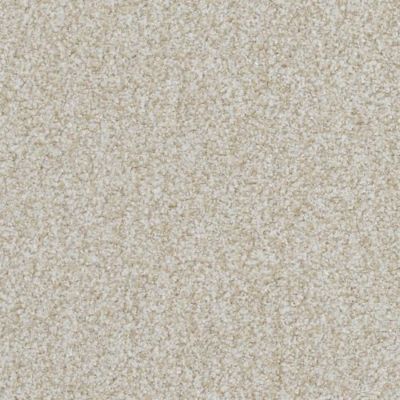 Masland Boca Raton Everlasting 9650-212
