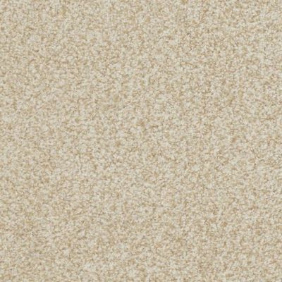 Masland Boca Raton Ageless 9650-213