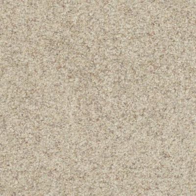 Masland Boca Raton true 9650-250
