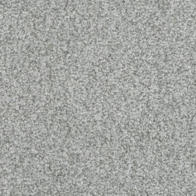Masland Boca Raton Relentless 9650-830