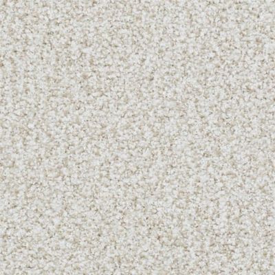 Masland St. Augustine Lasting Taupe 9651-124