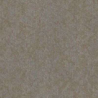 Masland Coast Tundra 9671-768