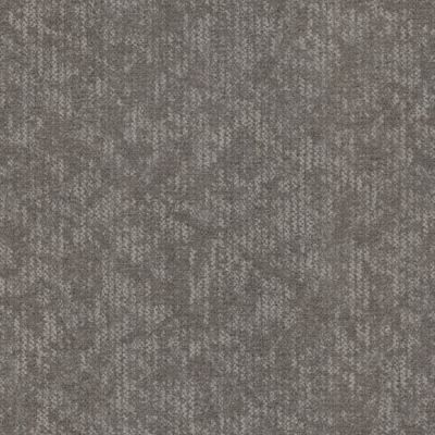 Masland Coast Birch 9671-859