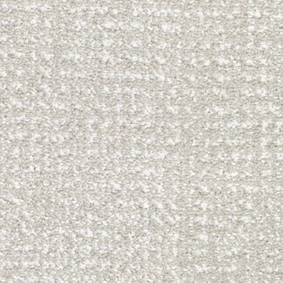 Masland Pedigree Vanity Fur 9690-729