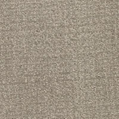 Masland Pedigree Rebarkable 9690-867