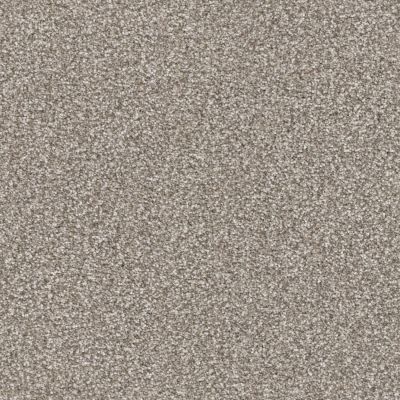Masland Hunter Pongo 9691-768