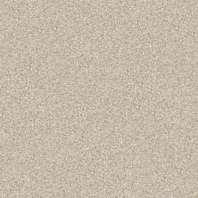 Masland Tracker Slinky 9692-737