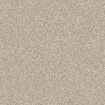 Masland Tracker Sandy 9692-761