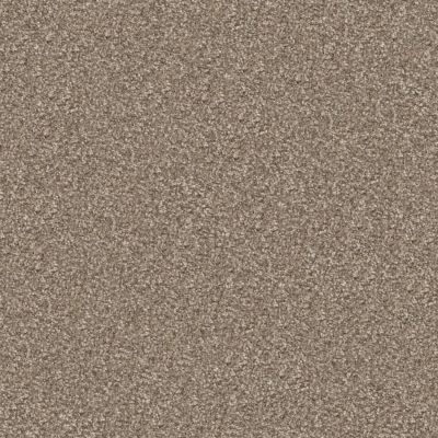 Masland Tracker Shiloh 9692-882