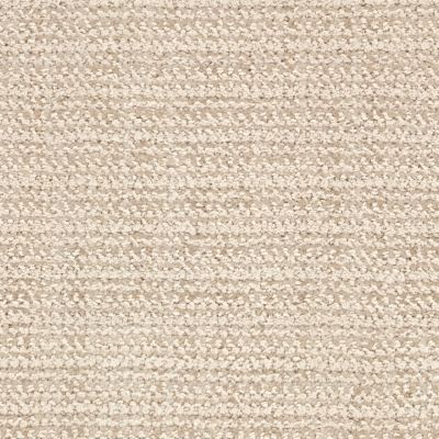 Masland Beguiling Angora 9714-222
