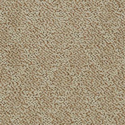 Dixie Home Fine Art Fossil D051-32041