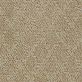 Dixie Home Fine Art Fossil D051-32041