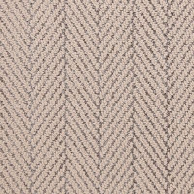Fabrica Buckingham Clothier 542BN-869BN