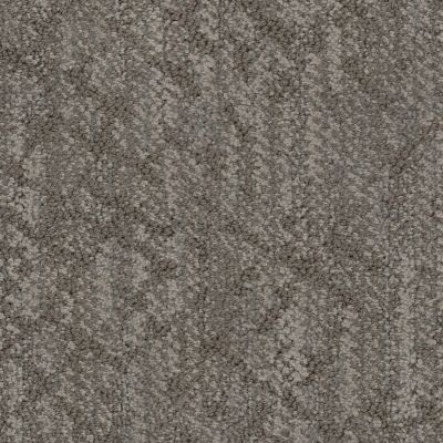 Masland Circuitry Birch 9705-859