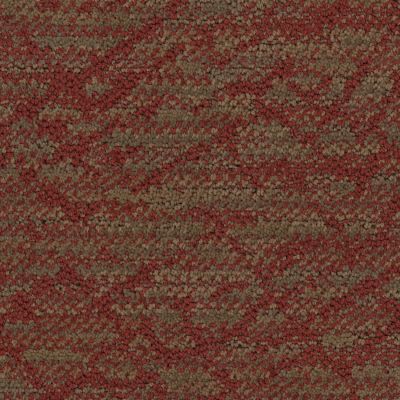 Masland Circuitry Canyon 9705-377