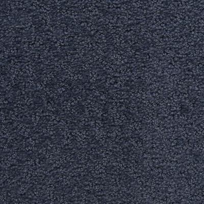 Dixie Home Prize Winner Blue Ribbon D006-61127