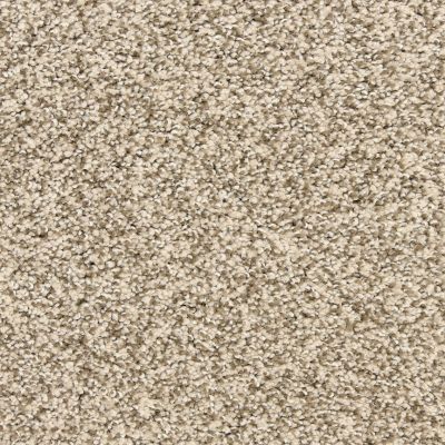 Dixie Home Natural Beauty Non Pattern Pebble D01232113