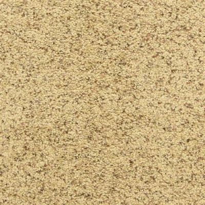 Dixie Home Star Power Pebble Mosaic D020-30171