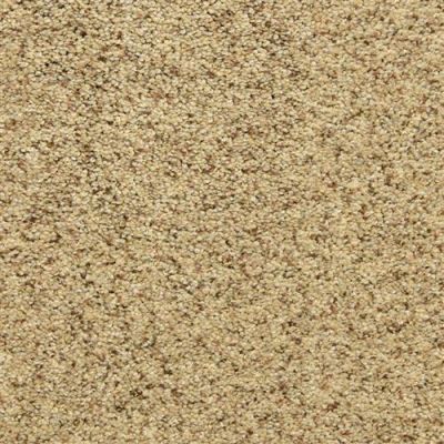 Dixie Home Star Power Oatmeal Raisin D020-80181