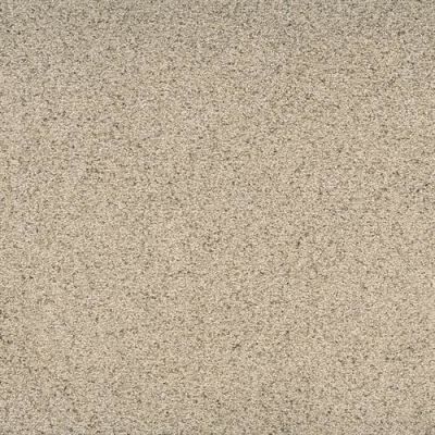 Dixie Home Legit Robust D041-21690