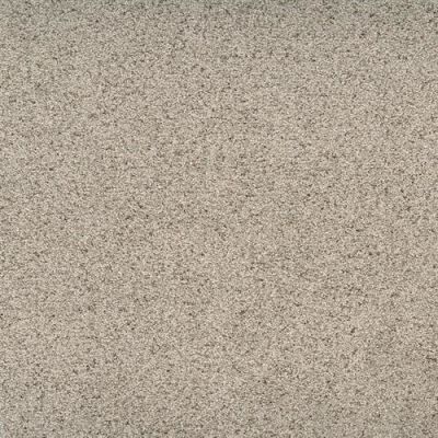 Dixie Home Legit Astute D041-21698
