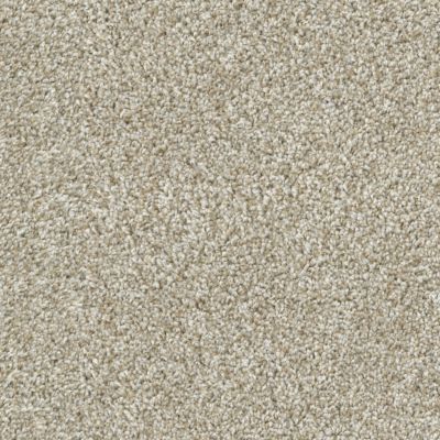 Dixie Home Game Plan Sandstone D074-72709