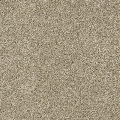 Dixie Home Big Idea Pebble D075-74105