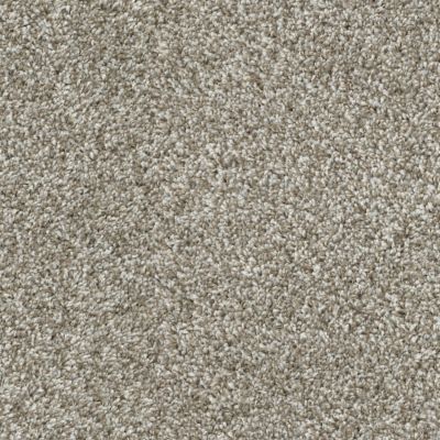 Dixie Home Big Idea Shale D075-83806