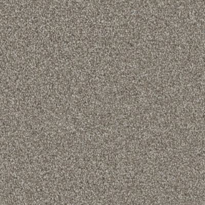 Dixie Home Affection Bison D096-88812