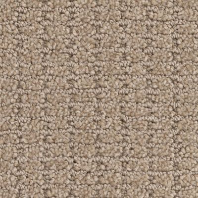 Masland Defined Portabello 9717-818