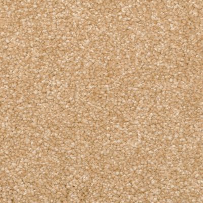 Lifescape Designs Feels Right Textured Rawhide G520025210