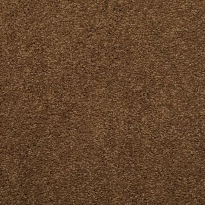 Dixie Home Soft & Silky Brushed Sable G520576036