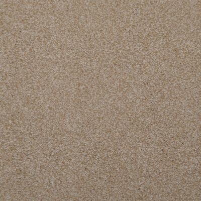 Dixie Home Enthralled New Taupe G522427510