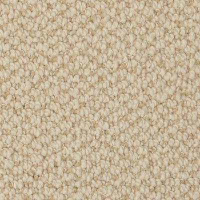 Dixie Home Authentic Living Sponge G522927227
