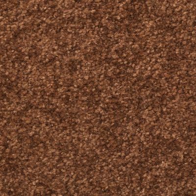 Dixie Home Inspiring Chocolate Chip G523977304