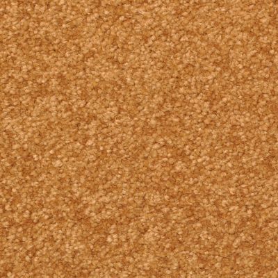 Dixie Home Inspiring Rustic G523997337