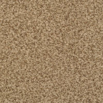 Dixie Home Hidden Tallent Textured Tribeca G525677720